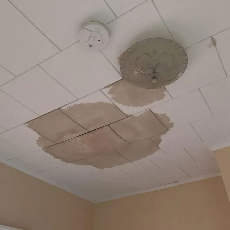 Ceiling Water Damage Repair in Holliday, TX