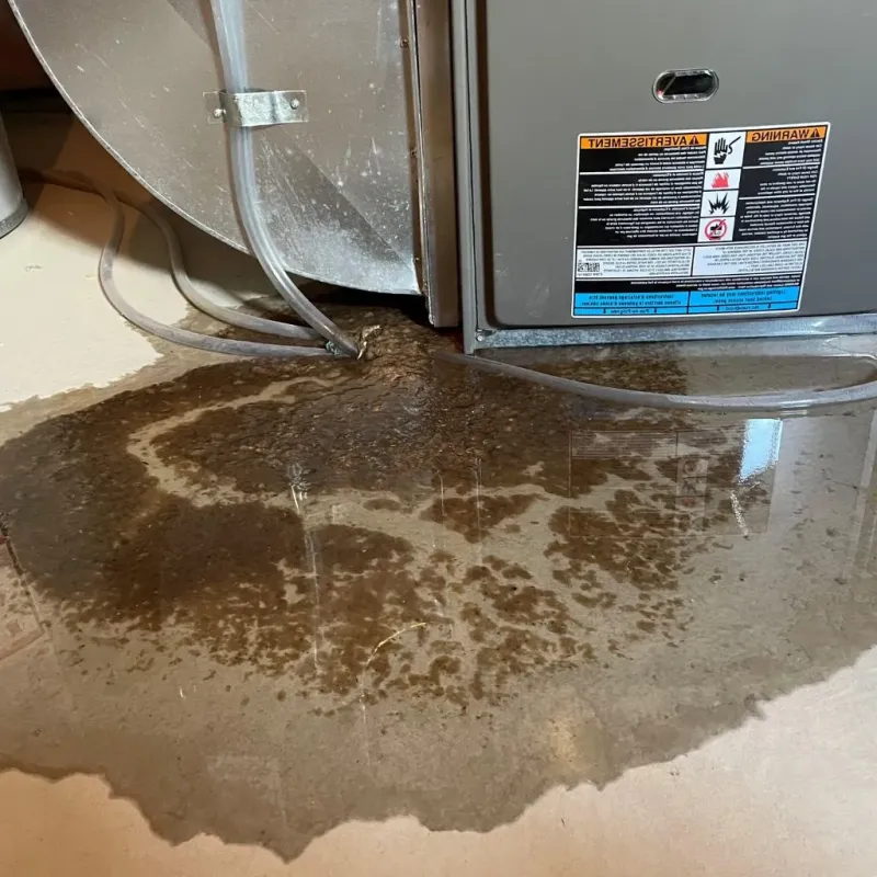 Pipe Burst and Leak Restoration in Holliday, TX