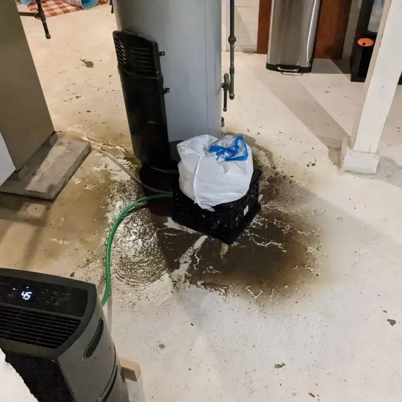 Sewage Backup Cleanup Service in Holliday, TX